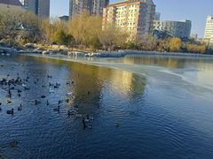 -迎泽公园
