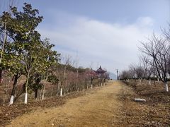 -景芳周大姐(国大城市广场店)