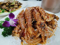 -湛江渔港·大排档(乐园路总店)