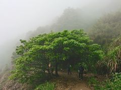 -梧桐山风景名胜区