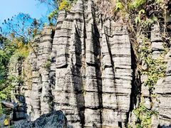 -梭布垭石林景区