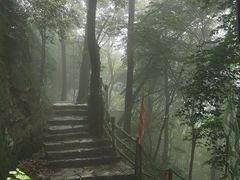 -帽儿山风景区