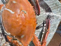 -和源祥·日照菜扛把子(万平口一店)