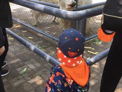 -长白岛森林公园