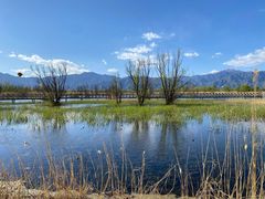 -野鸭湖国家湿地公园