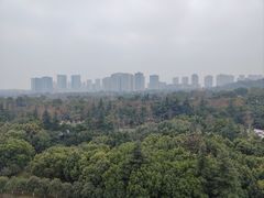 -重庆医科大学附属第一医院(金山院区)