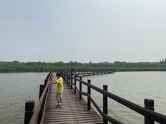 -西青郊野公园