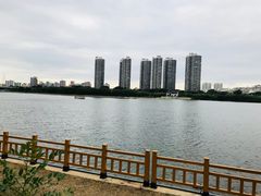 河岸风光-长白岛森林公园