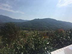 -塔川景区