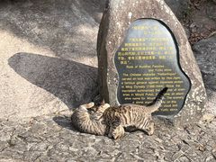 -普陀山慧济禅寺