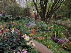 -上海共青森林公园