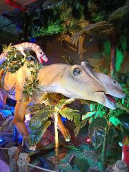 -恐龙探索乐园(磁器口店)