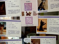 -Punchline Coffee&Roaster(同济大学店)