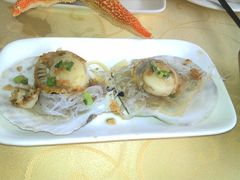 扇贝-海岛渔村大酒店(云霄路店)