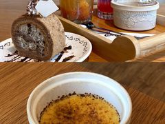 焦糖布丁-猫小主咖啡·猫咖cat cafe(福田店)