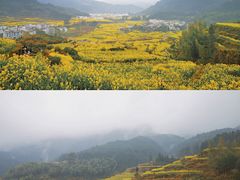 -婺源风景区