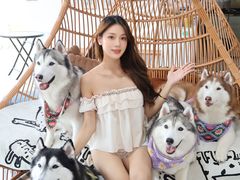 -星多哈·狗咖·拼豆·咖啡