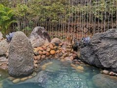 -龙佳生态温泉山庄