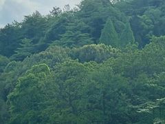 -贵州省植物园