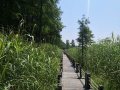 -苏州太湖国家湿地公园