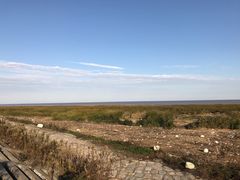 -南汇嘴观海公园