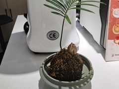 -锦江之星(苏州火车站万达广场平泷路地铁站店)