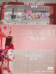 -THE COLORIST调色师