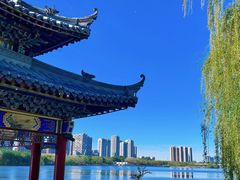 -长白岛森林公园