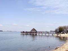 -瑶湖郊野森林公园