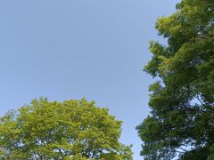 -秀丽东方