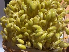 -巴奴毛肚火锅(龙湖锦艺城店)