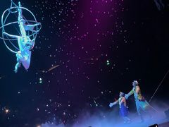 -珠海横琴长隆《卡卡虎奇遇记》