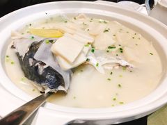 野生胖头鱼-茶叁酒肆·楚味江湖(菱角湖店)