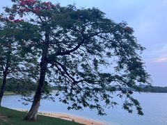 -松山湖风景区松湖烟雨