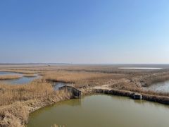 -盐城丹顶鹤湿地生态旅游区