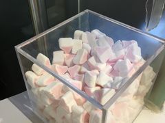 -狐狸和向日葵(北京路店)