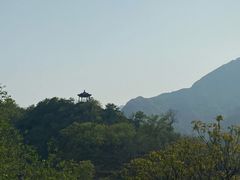 -南窖乡水峪村山情农家