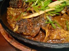 -老板恋上鱼(恒隆广场店)