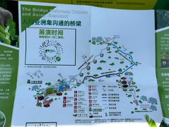 -野象谷景区