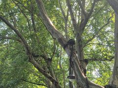 -北高峰