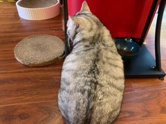 -H立方实景剧情密室(天河旗舰店)