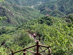 -大岭沟猕猴桃谷风景区