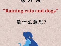 -引领英语·成人口语·雅思托福