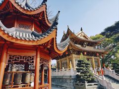 -上海东林寺(金山区)