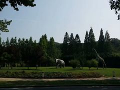 -棒棰岛宾馆景区