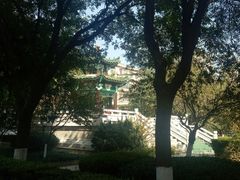 -中国人民解放军空军特色医学中心(空军总医院)
