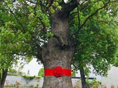 -养云安缦吧THE BAR