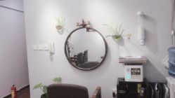 -施华蔻美发连锁