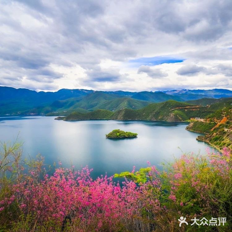 会把小白花送到离它根叶很远很远的地方