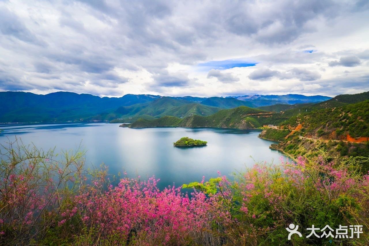 会把小白花送到离它根叶很远很远的地方